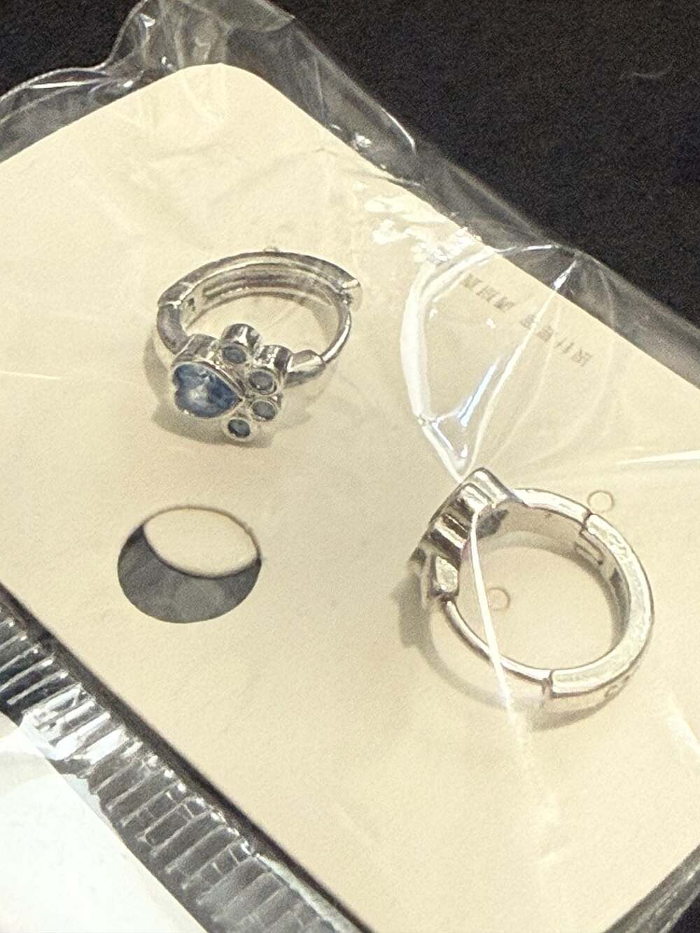 Cute Cat and Dog Paw Print Blue Stone Silver Hoop Earrings